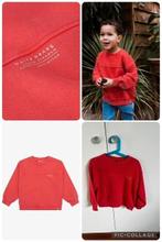 Trui van Daily7 maat 116 (advr 44), Kinderen en Baby's, Kinderkleding | Maat 116, Trui of Vest, Ophalen of Verzenden, Zo goed als nieuw