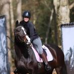 Bijrijder, Dieren en Toebehoren, Ophalen of Verzenden, Nieuw
