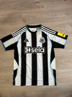 Newcastle United 2025-2026 Thuisshirt, maat M, Maat 48/50 (M), Zwart, Nieuw, Ophalen of Verzenden