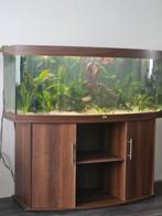 Juwel Vision 450L Amazone aquarium met Meubel zeer compleet, Dieren en Toebehoren, Vissen | Aquaria en Toebehoren, Ophalen, Zo goed als nieuw