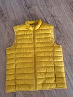 Bodywarmer zgan 46 / XL, Kleding | Dames, Bodywarmers, C&A, Ophalen of Verzenden, Zo goed als nieuw, Maat 46/48 (XL) of groter