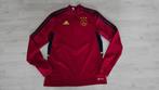 Ajax UIT Training Sweater! Seizoen 22/23! Mt 176/S!, Kleding | Heren, Sportkleding, Maat 46 (S) of kleiner, Ophalen of Verzenden