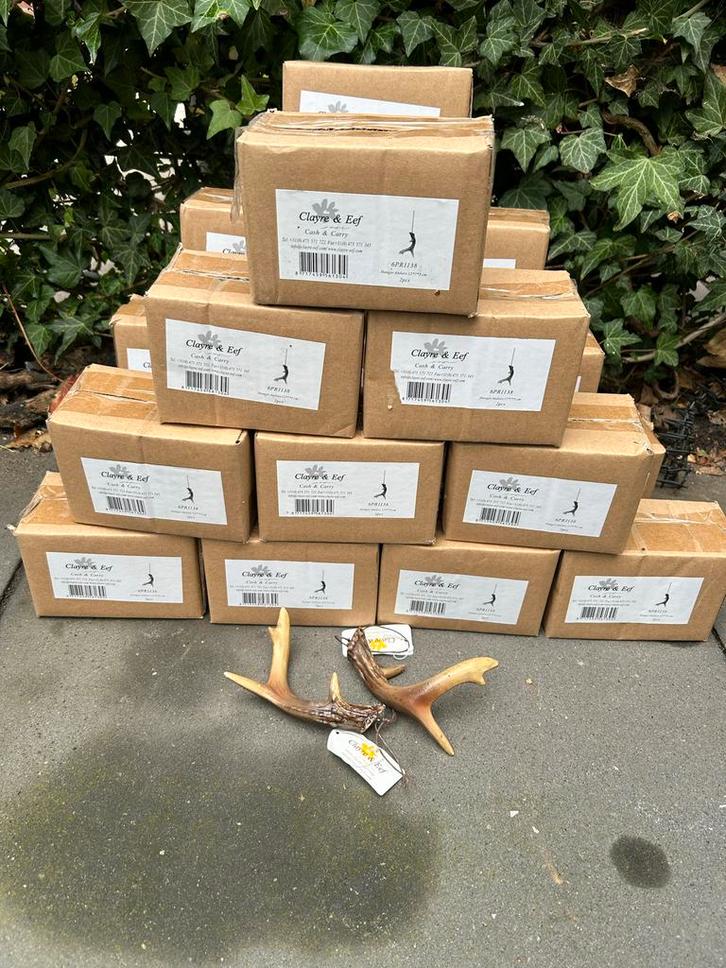 42 Clayre & Eef Gewei Hangers - Nieuw!, Huis en Inrichting, Woonaccessoires | Wanddecoraties, Nieuw, Ophalen