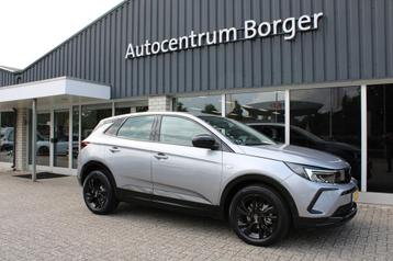 Opel Grandland 1.2 T Automaat Hybrid GS Advanced navi /Clima beschikbaar voor biedingen