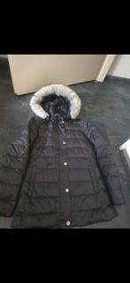 Dames jas (,tommy hilfiger)(maat  XS), Kleding | Dames, Jassen | Winter, Ophalen of Verzenden, Zo goed als nieuw, Maat 34 (XS) of kleiner
