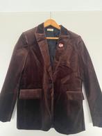Fluweel jasje Zadig & Voltaire brui, Kleding | Dames, Ophalen of Verzenden, Zo goed als nieuw, Maat 38/40 (M), Bruin