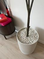 Siergrind/ stenen (marmer) wit 12,4 kg - Cobo Garden Carrara, Ophalen, Nieuw
