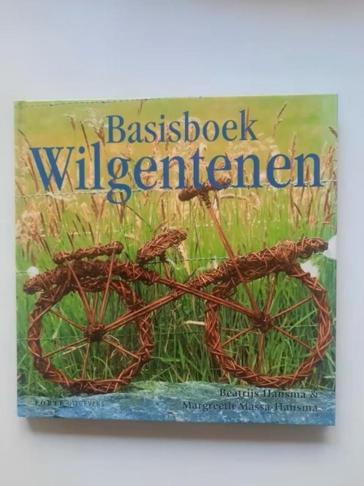 Basisboek wilgentenen . Beatrijs Hansma, Boeken, Hobby en Vrije tijd, Zo goed als nieuw, Ophalen of Verzenden