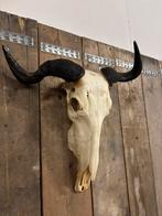 Blauwe Gnoe schedel (abnorm), Ophalen of Verzenden, Nieuw, Wild dier, Schedel