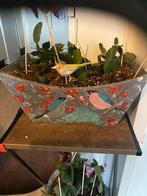 Lidcactussen Bloempot met Vogelmotief, Tuin en Terras, Bloempotten, Overige materialen, Gebruikt, Vierkant, Binnen