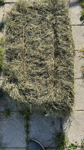 Kleine hooipakjes. beschikbaar voor biedingen