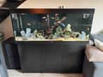 Juwel Rio 450 Compleet + meubel 2x Eheim 4+, Ophalen, Gebruikt, Leeg aquarium