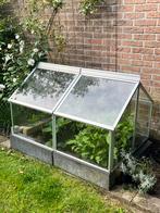 Kleine Kweekkas voor Landschildpadden, Tuin en Terras, Kassen, Gebruikt, Kweekkas, Ophalen of Verzenden, Glas