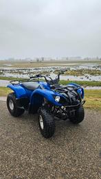 Yamaha Grizzly 125 - Kenteken!, Motoren, Quads en Trikes, 1 cilinder, 125 cc, 11 kW of minder