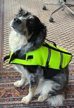 zwemvest hond, Ophalen of Verzenden, Nieuw, Hondenzwemvest
