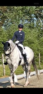 Prachtig jasje van Fair Play xs donkerblauw, Dieren en Toebehoren, Paardrijkleding, Ophalen of Verzenden, Zo goed als nieuw, Dressuur