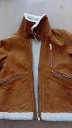 Jack Leren kort jasje Zara nieuw gevoerd maat S, Kleding | Dames, Jassen | Winter, Ophalen of Verzenden, Nieuw, Maat 38/40 (M)