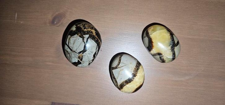 Septarie / Drakensteen, Verzamelen, Mineralen en Fossielen, Mineraal, Ophalen of Verzenden