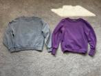 2 sweaters maat 152, Kinderen en Baby's, Kinderkleding | Maat 152, Ophalen of Verzenden, Zo goed als nieuw