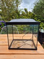 Gratis Aquarium, Dieren en Toebehoren, Ophalen, Gebruikt, Leeg aquarium