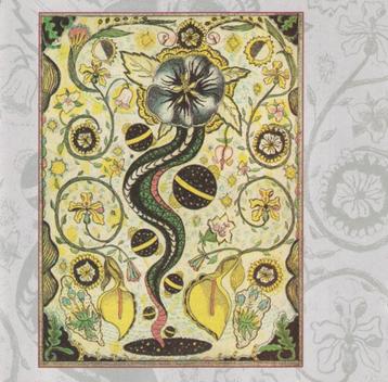 CD Steve Earle - I feel allright beschikbaar voor biedingen