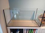 Hamster scaping bak, Dieren en Toebehoren, Knaagdieren en Konijnen | Hokken en Kooien, Zo goed als nieuw, 75 tot 110 cm, Ophalen
