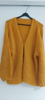 geel vest, Kleding | Dames, Truien en Vesten, Ophalen of Verzenden, Gedragen, Maat 38/40 (M), Geel