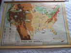 schoolplaat Verenigde Staten van Amerika, Antiek en Kunst, Ophalen, Natuur en Biologie