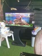 Te koop: Juwel Aquarium, Ophalen of Verzenden, Zo goed als nieuw, Leeg aquarium