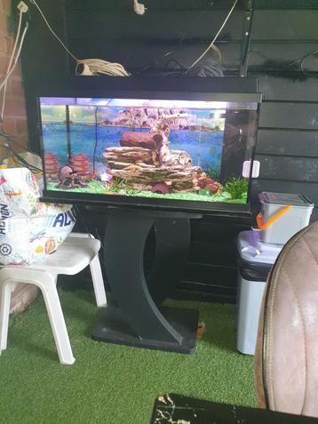Te koop: Juwel Aquarium beschikbaar voor biedingen