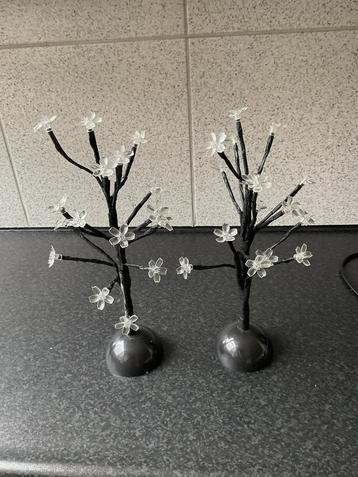 2 bloesemboompjes beschikbaar voor biedingen