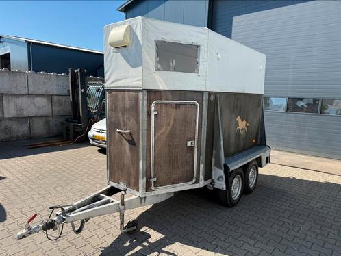 Paardetrailer westfalia, Dieren en Toebehoren, Paarden en Pony's | Trailers en Aanhangwagens, Gebruikt, 1½-paards trailer, Ophalen
