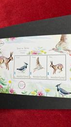 Vel met 3 zegels met dieren: Kieviet, Tureluur, Haas. P.f., Postzegels en Munten, Ophalen, Na 1940, Postfris