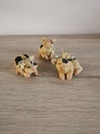 Varkens met koeienvlek, Ophalen of Verzenden, Zo goed als nieuw, Dier