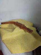 9635) mooie beweegbare houten krokodil  lang  40cm, Verzamelen, Ophalen of Verzenden, Zo goed als nieuw, Beeldje of Figuurtje