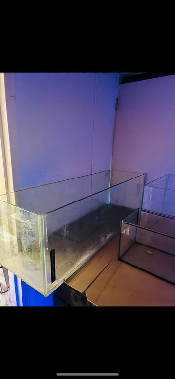 Diverse aquariums beschikbaar voor biedingen