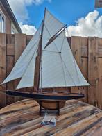 America's cup columbia 1901 nieuw, Hobby en Vrije tijd, Ophalen of Verzenden, Zo goed als nieuw, Overige merken