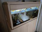 Aquarium, Ophalen, Gebruikt, Leeg aquarium