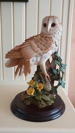 Country Artists Barn Owl Beeld - David Ivey, Ophalen