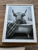 Schotse Hooglander in Bad - Foto/Poster, Minder dan 50 cm, 50 tot 75 cm, Nieuw, Ophalen of Verzenden