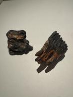 Mammoet kiezen - fossiel, Ophalen, Fossiel