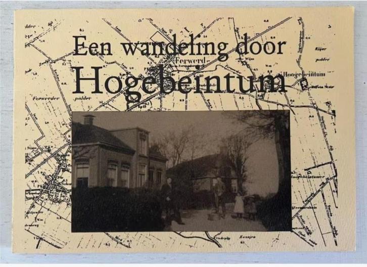 Een wandeling door Hogebeintum, Boeken, Geschiedenis | Stad en Regio, Zo goed als nieuw, Ophalen of Verzenden