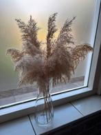 Leuke pampas pluimen kort, Ophalen of Verzenden, Zo goed als nieuw