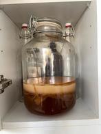 kombucha zwam / skoby, Ophalen