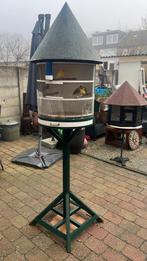 Mooie staande kooi met kanaries, Dieren en Toebehoren, Vogels | Kanaries, Meerdere dieren, Zangkanarie