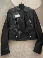 Philipp Plein Leather Biker jacket - Philipp Plein leren jas, Kleding | Dames, Jassen | Zomer, Ophalen, Zwart, Maat 42/44 (L)
