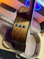 Taylor 110e, Ophalen of Verzenden, Zo goed als nieuw, Western- of Steelstringgitaar, Met koffer