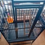Papagaaien kooi, Dieren en Toebehoren, Ophalen, Zo goed als nieuw