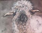 Schilderijtje Wallis schaap Bobbie Texel, Ophalen of Verzenden
