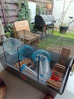 Hamsterkooi met buizen loop rat en bal, Dieren en Toebehoren, Minder dan 60 cm, Minder dan 75 cm, Ophalen of Verzenden, Zo goed als nieuw